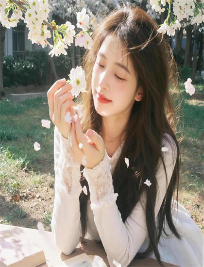 深入《祇园的女人们~京都花街物语~》的世界耐人寻味的：全面解读与深度分析